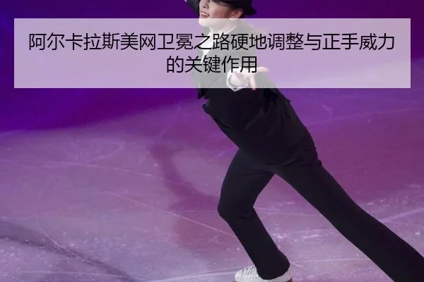 a-er-ka-la-si-mei-wang-wei-mian-zhi-lu-ying-di-tiao-zheng-yu-zheng-shou-wei-li-de-guan-jian-zuo-yong-2-951.jpg