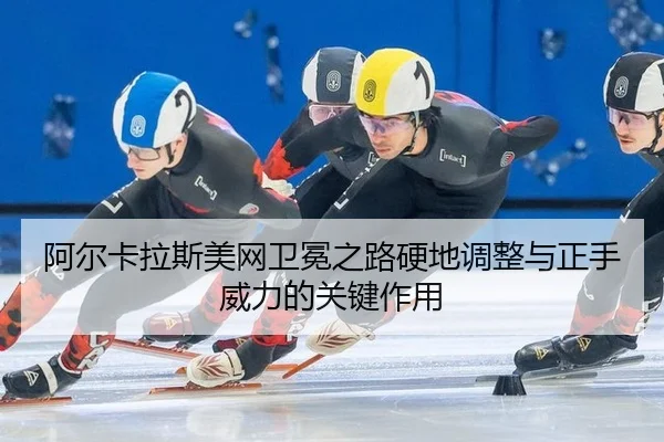a-er-ka-la-si-mei-wang-wei-mian-zhi-lu-ying-di-tiao-zheng-yu-zheng-shou-wei-li-de-guan-jian-zuo-yong-3-322.jpg