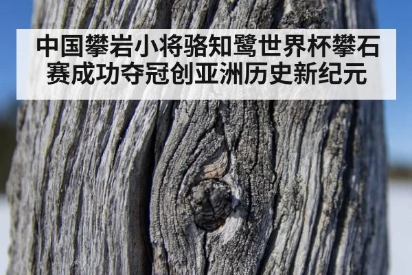中国攀岩小将骆知鹭世界杯攀石赛成功夺冠创亚洲历史新纪元